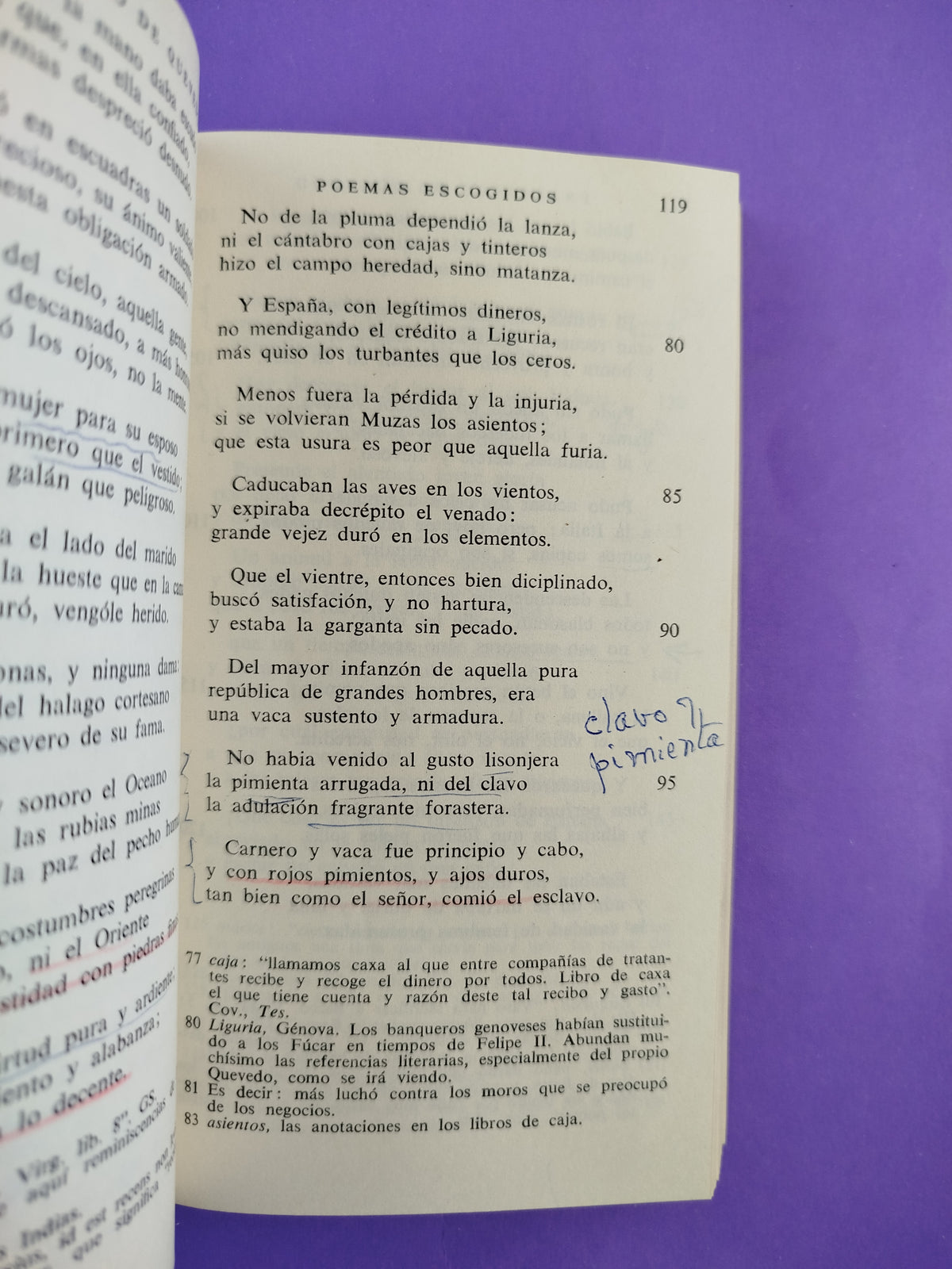 Poemas Escogidos by Francisco de Quevedo