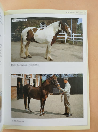 Los dientes del caballo