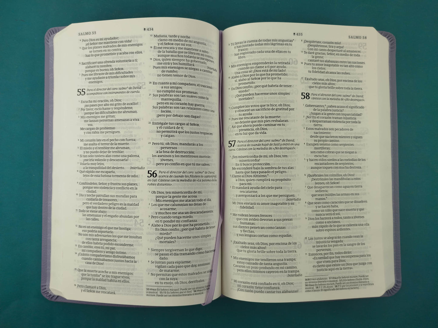Biblia NTV Filament morado