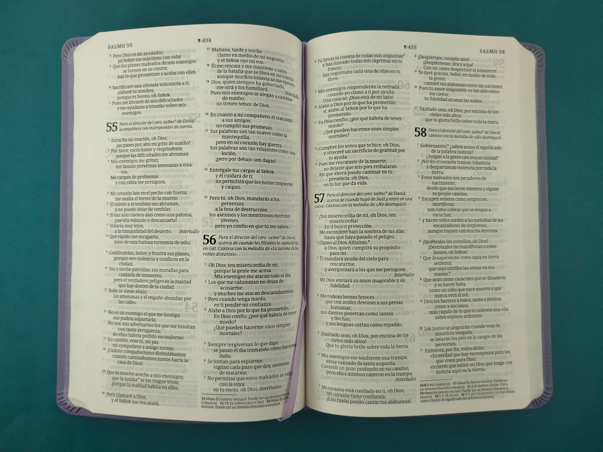 Biblia NTV Filament morado by Tyndale