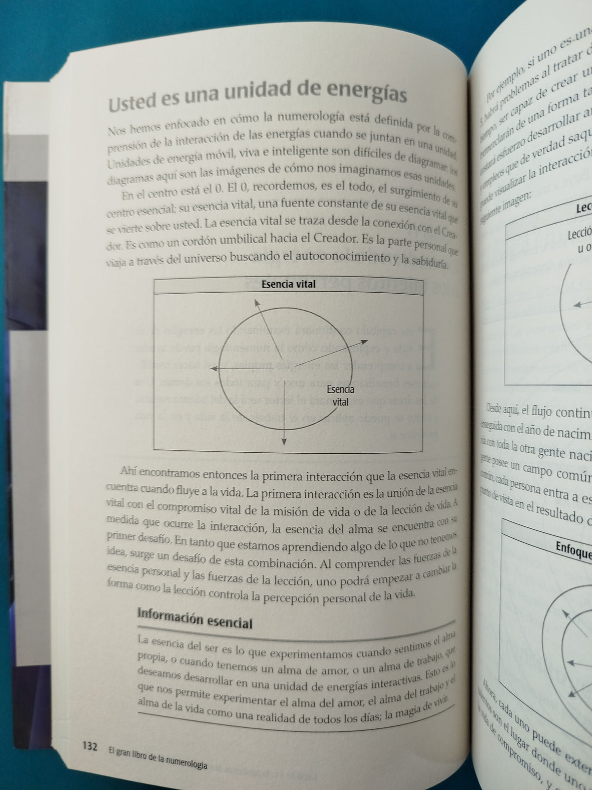 El gran libro de la numerología by Ellae Elinwood