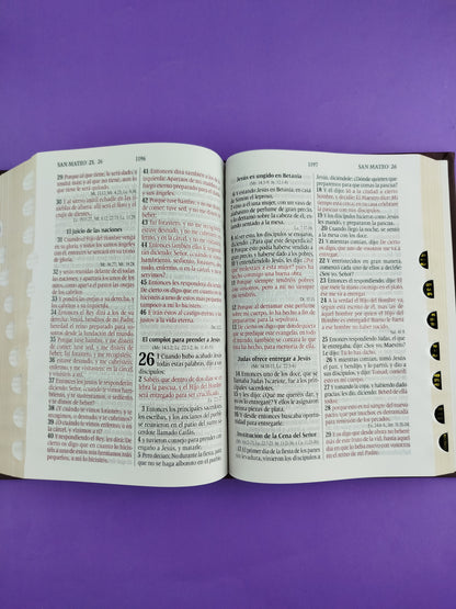 Santa biblia del oso conmemoración con índice