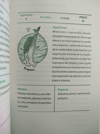 El mensaje de las plantas by Andrea Medina