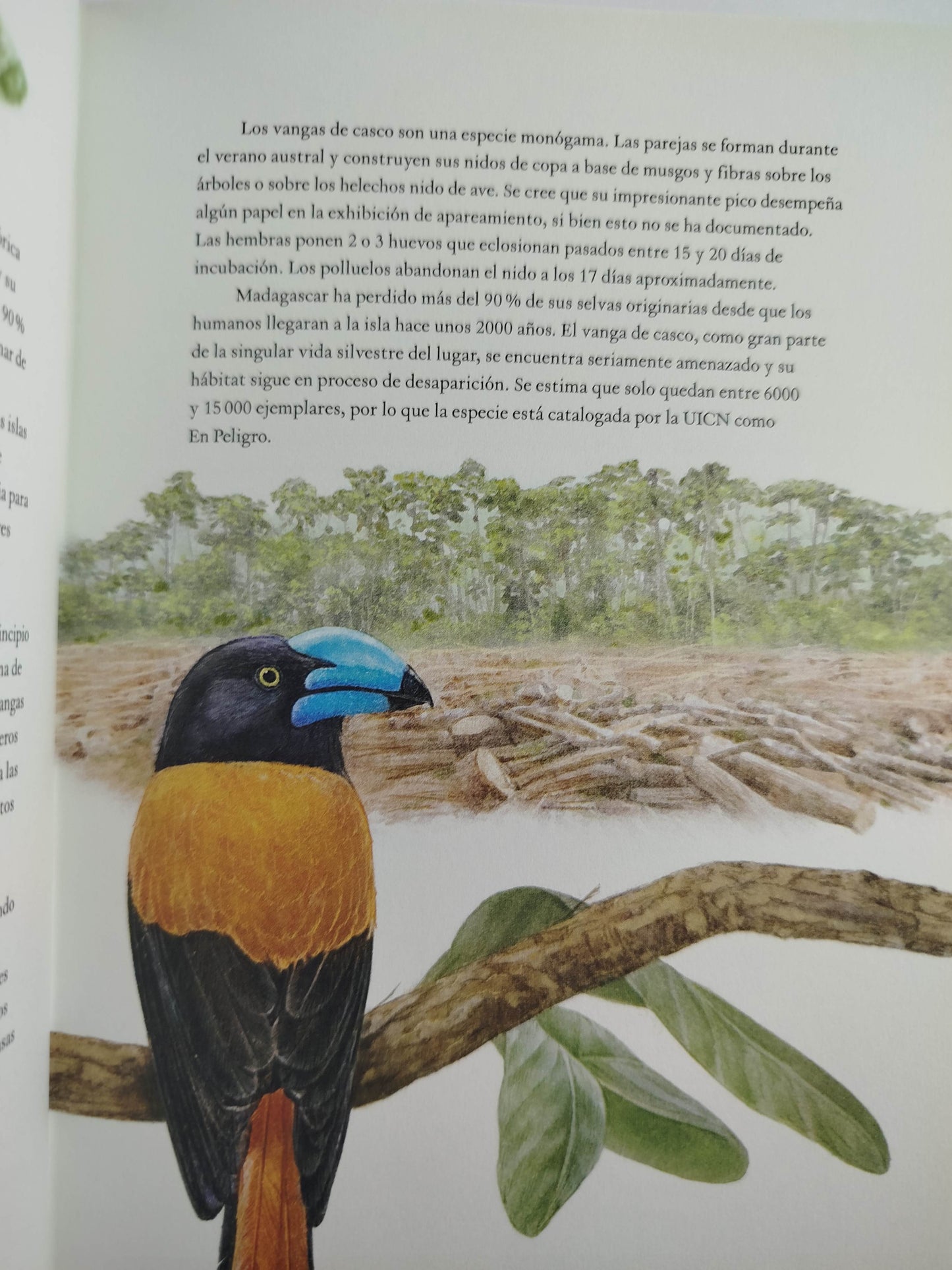La vuelta al mundo en 80 aves by Mike Unmin
