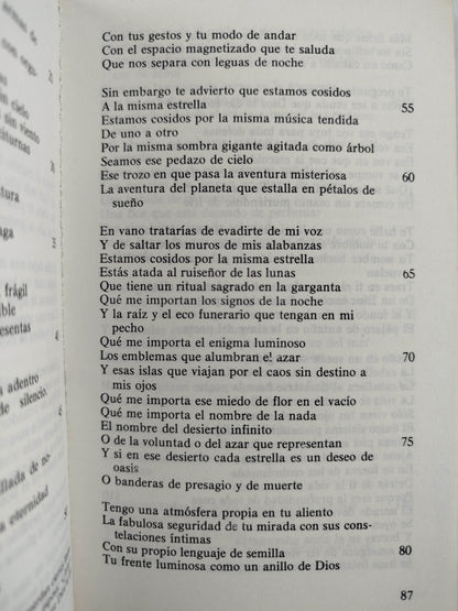Altazor Temblor de cielo by Vicente Huidobro