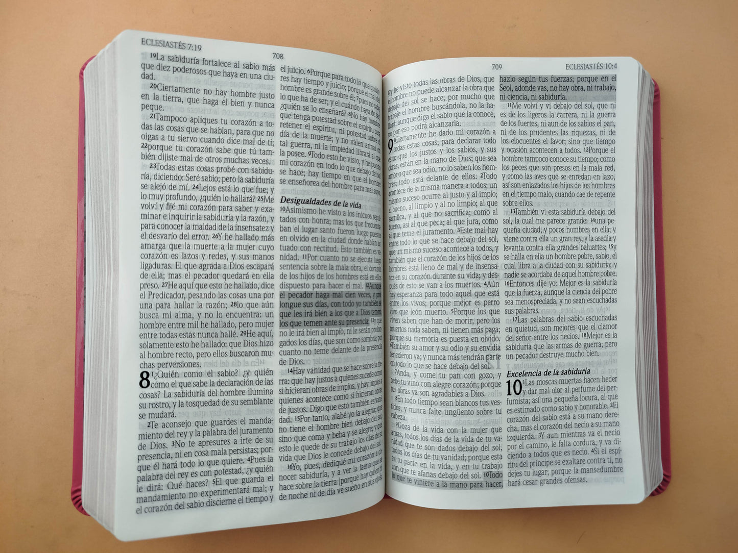 Biblia promesas fucsia canto plateado sin cierre