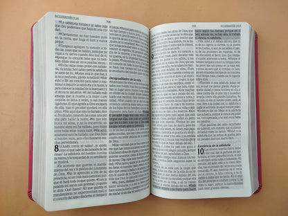 Biblia promesas fucsia canto plateado sin cierre