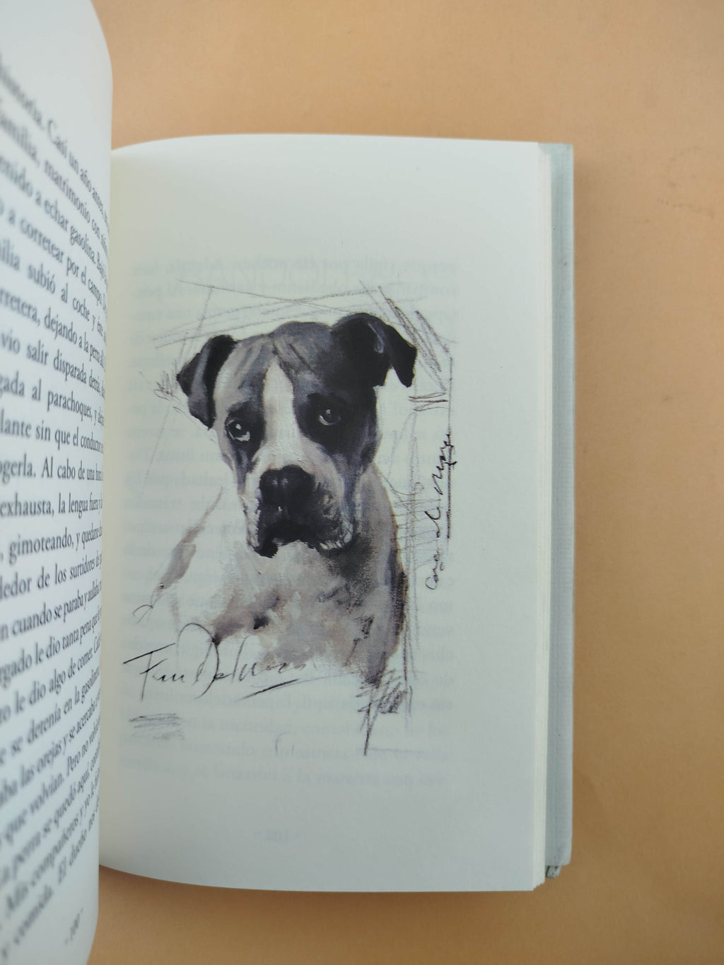 Perros e hijos de perra by Arturo Pérez Reverte