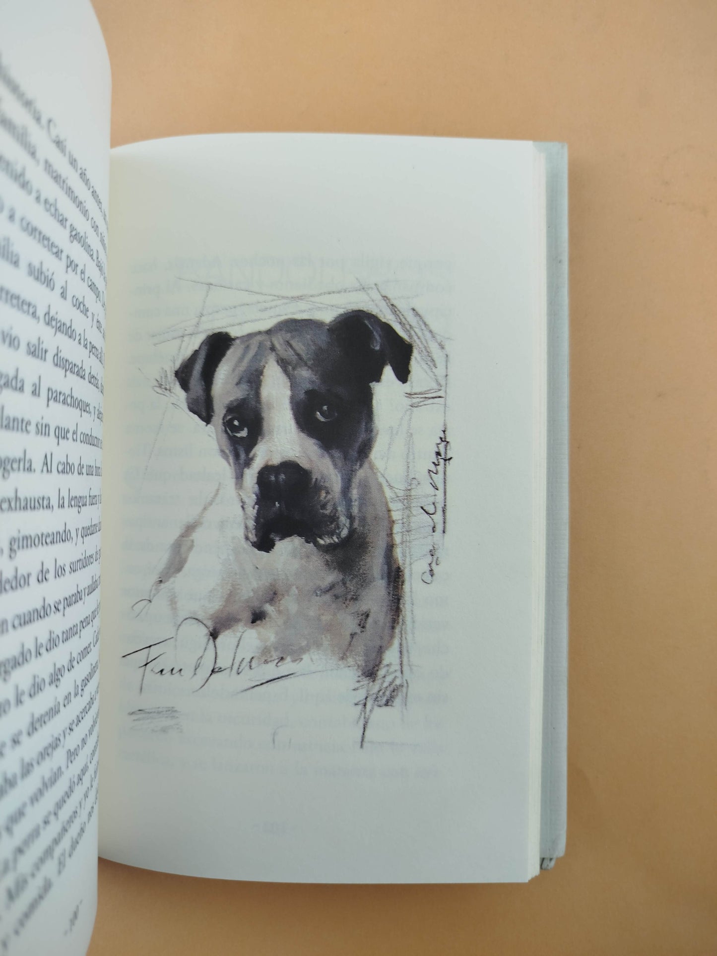 Perros e hijos de perra