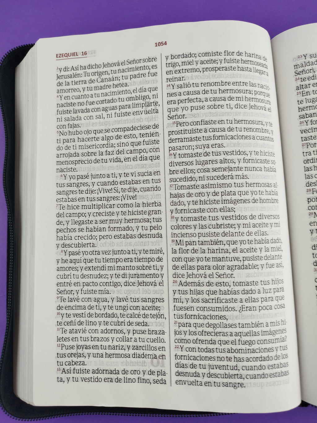 Biblia Letra Gigante Negra Gris Sin Indice by libreriatroya.com