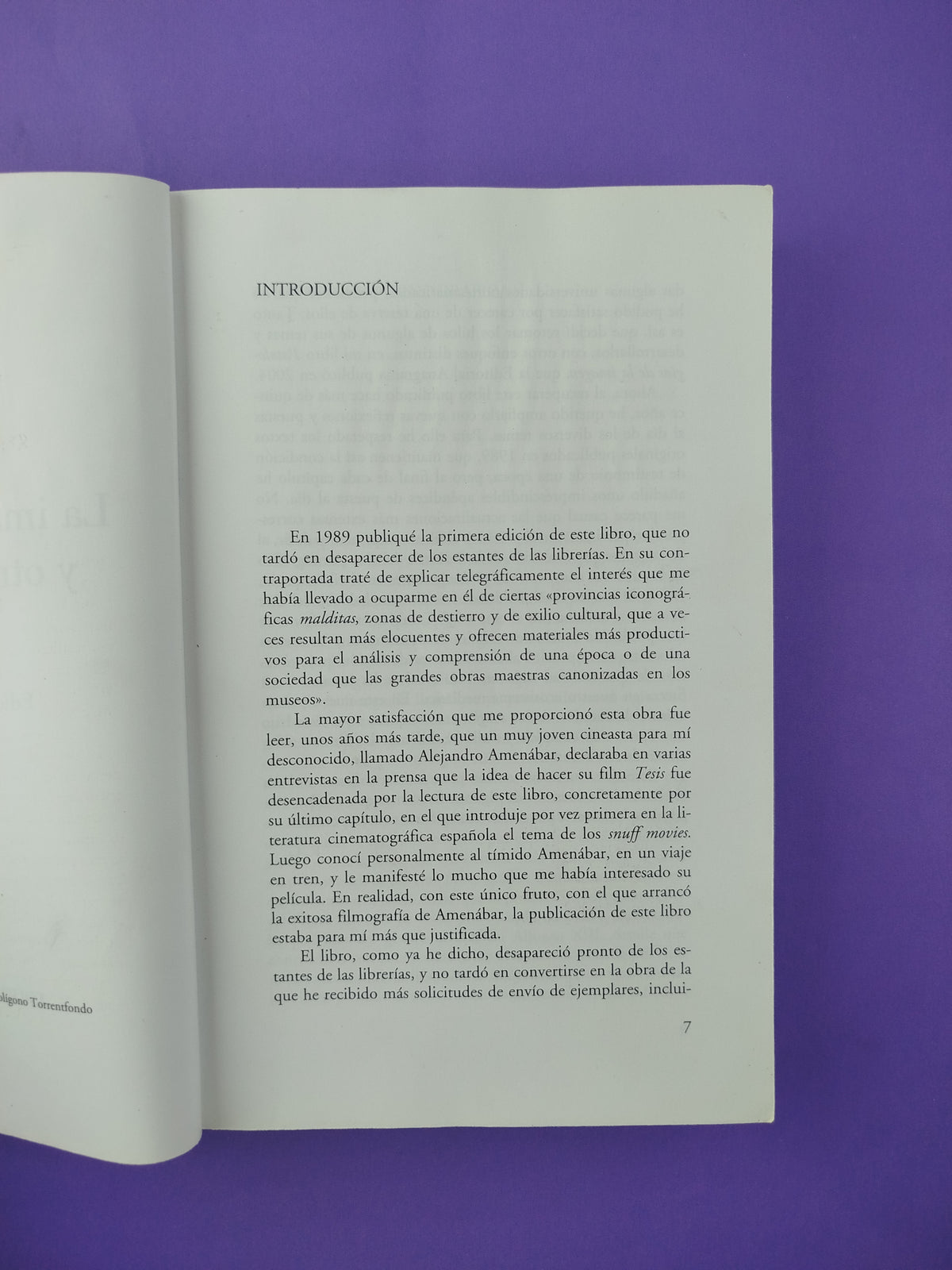 La imagen pornográfica y otras perversiones ópticas by Román Gubern
