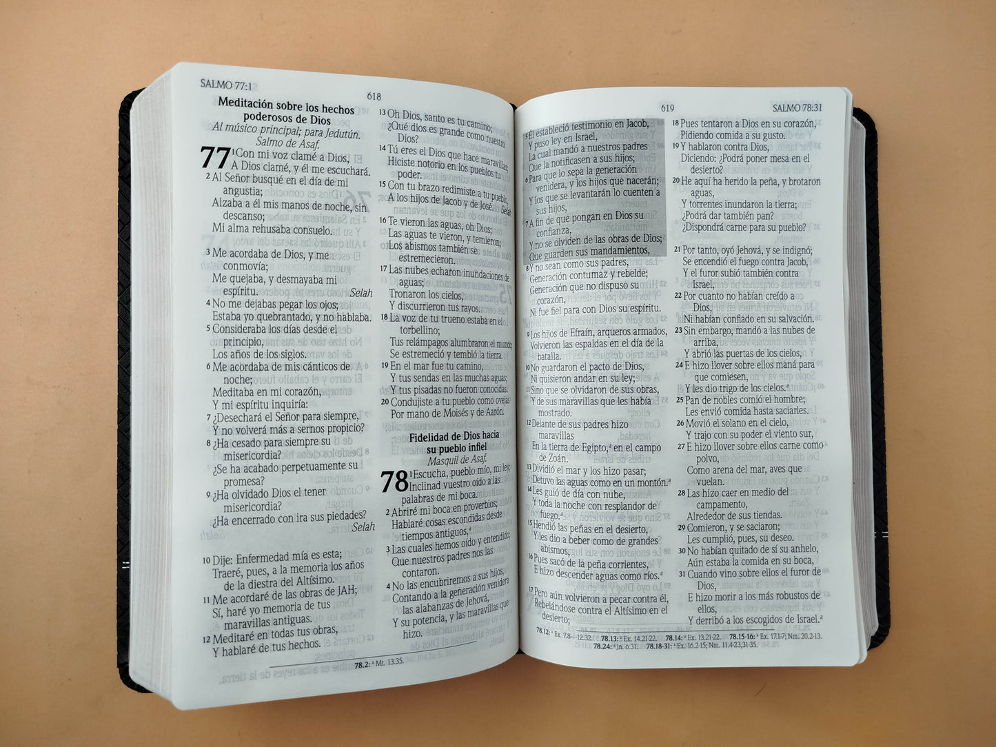 Biblia promesas negra canto plateado sin cierre