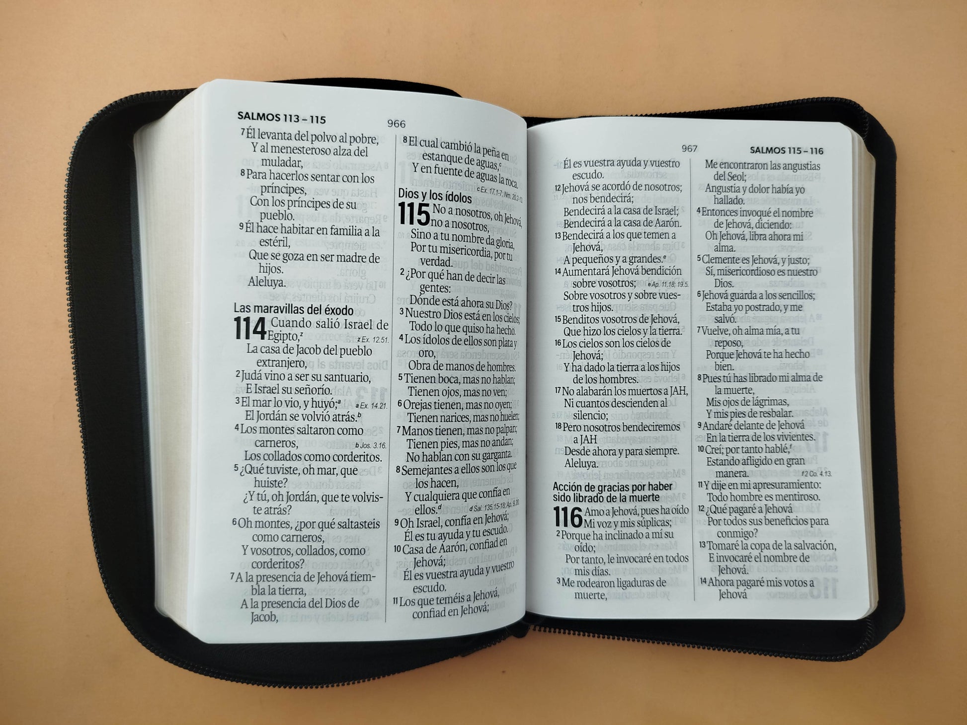 Biblia rvr 1960 negra letra grande con forro borde dorado by Reina Valera 1960
