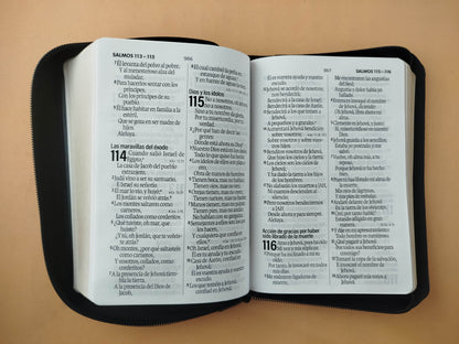 Biblia rvr 1960 negra letra grande con forro borde dorado by Reina Valera 1960