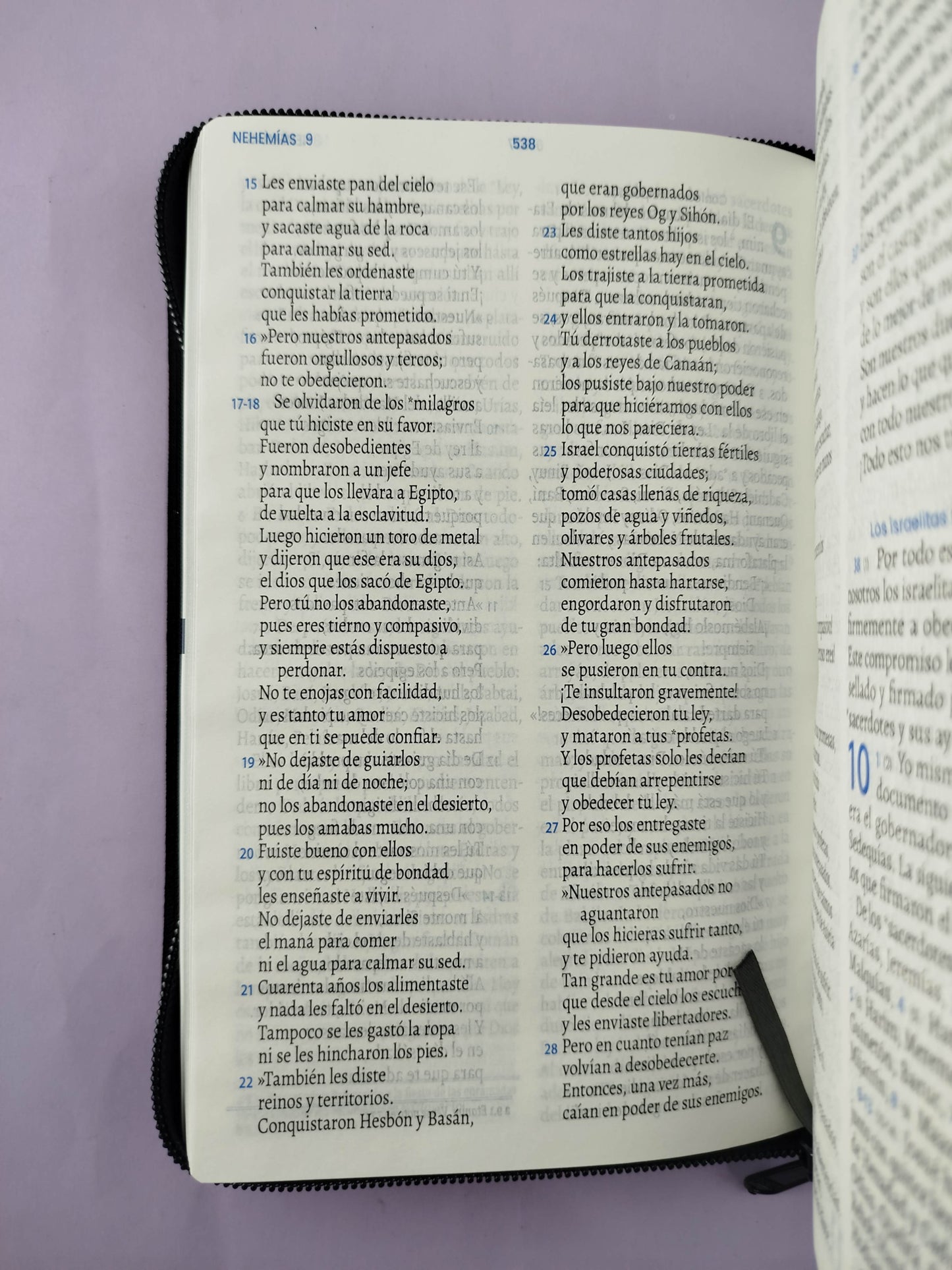 Biblia traducción en lenguaje actual 066 negro / canto plateado