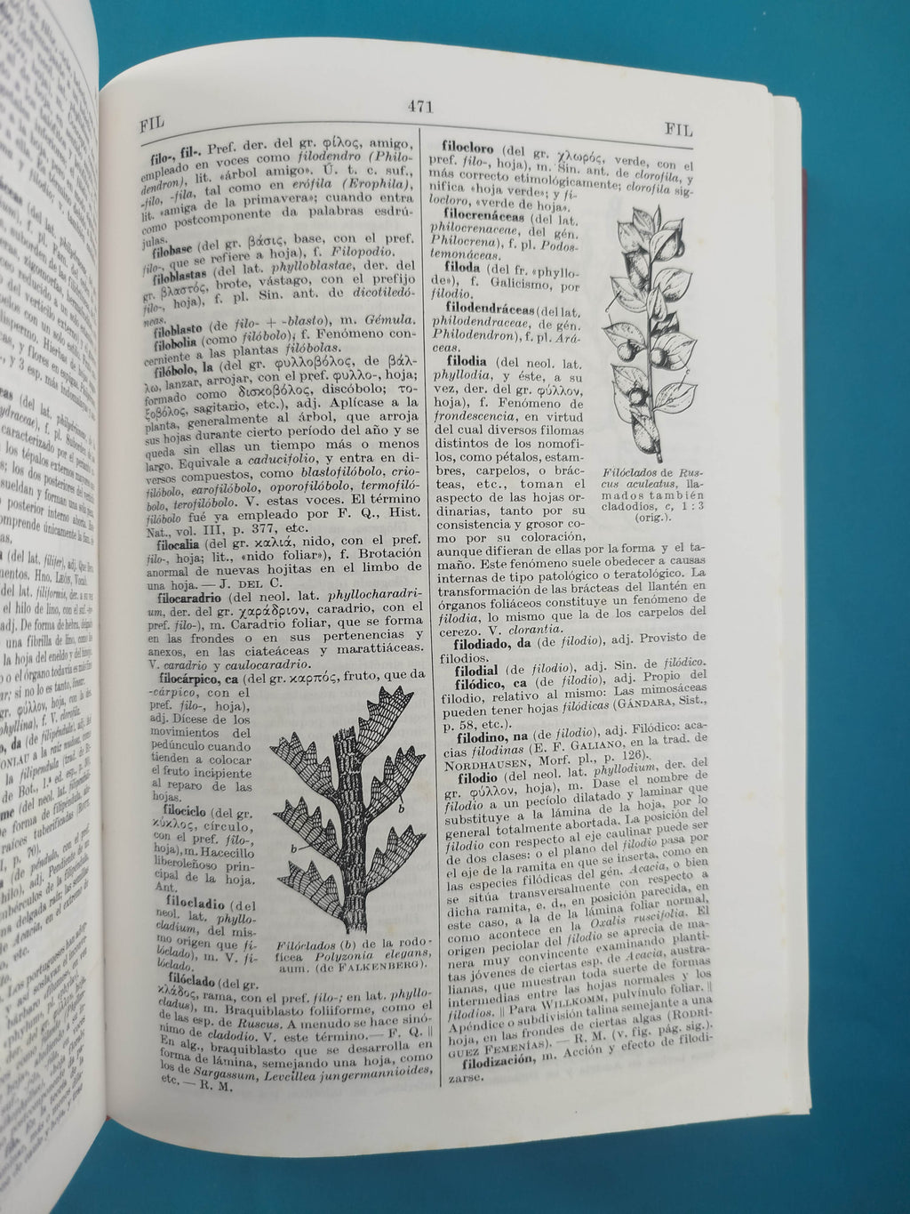 Diccionario de botánica by Pio Font Quer