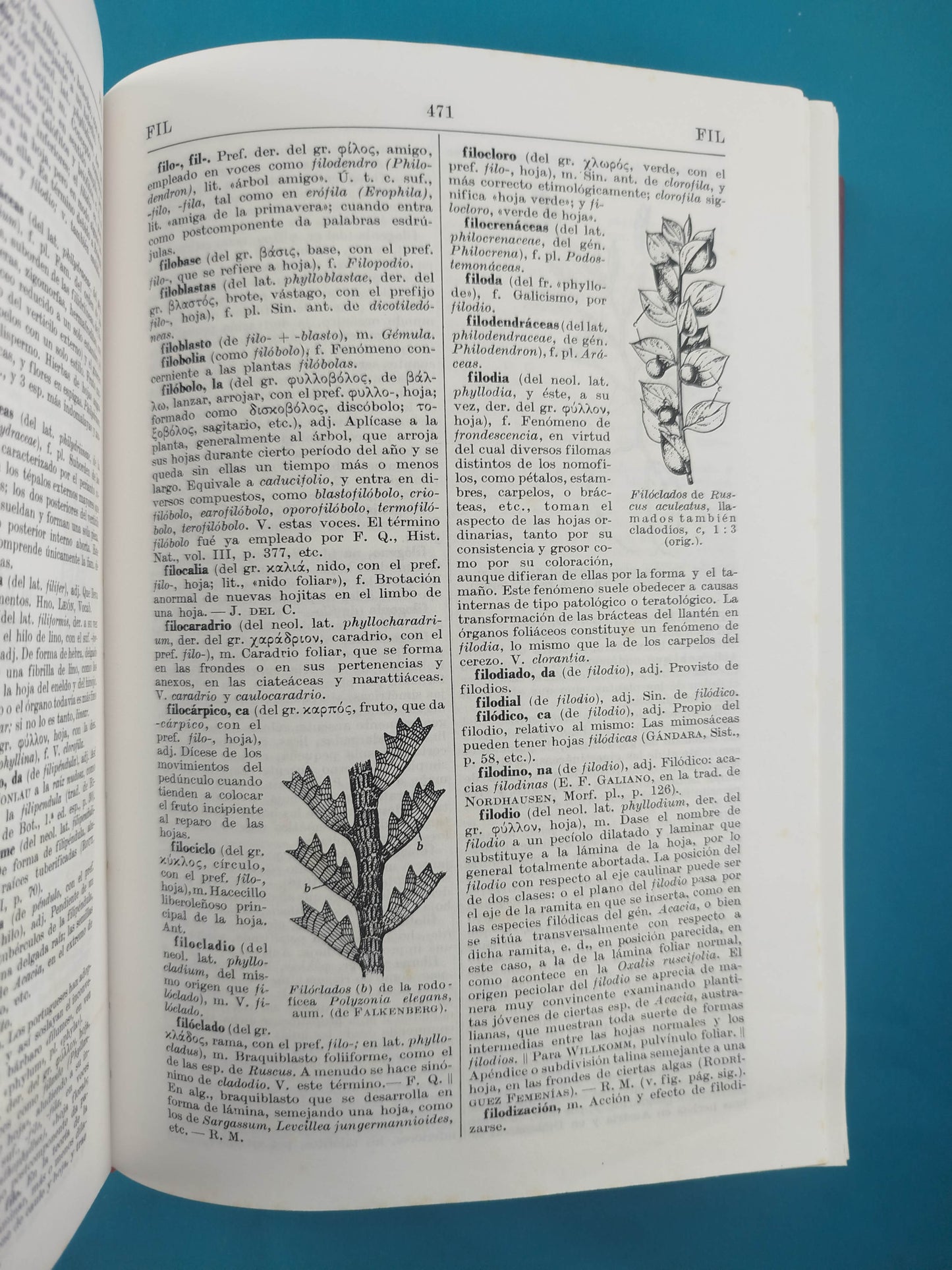 Diccionario de botánica