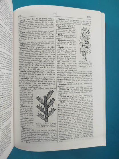 Diccionario de botánica