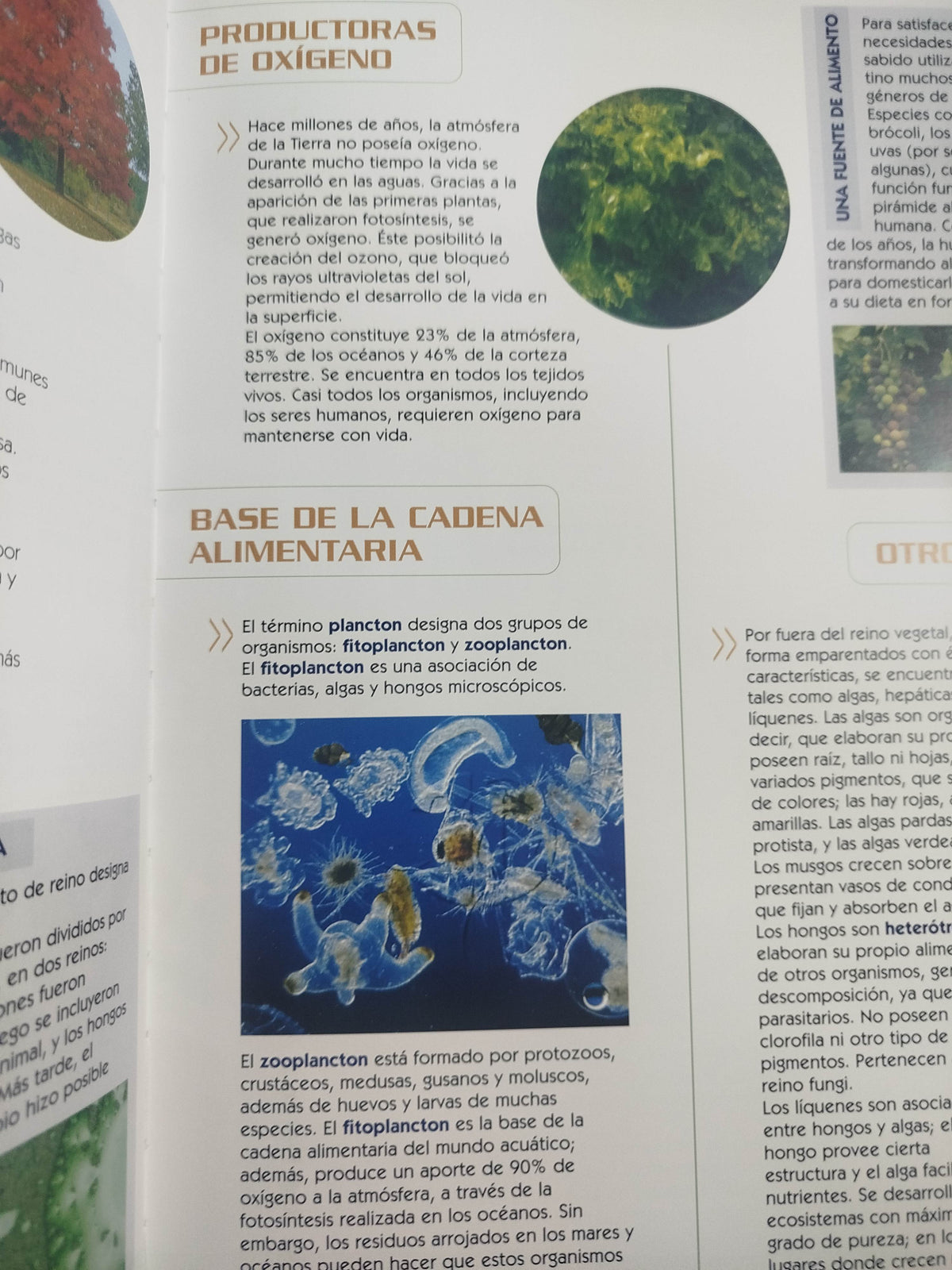 Atlas visual del reino vegetal by sin autor
