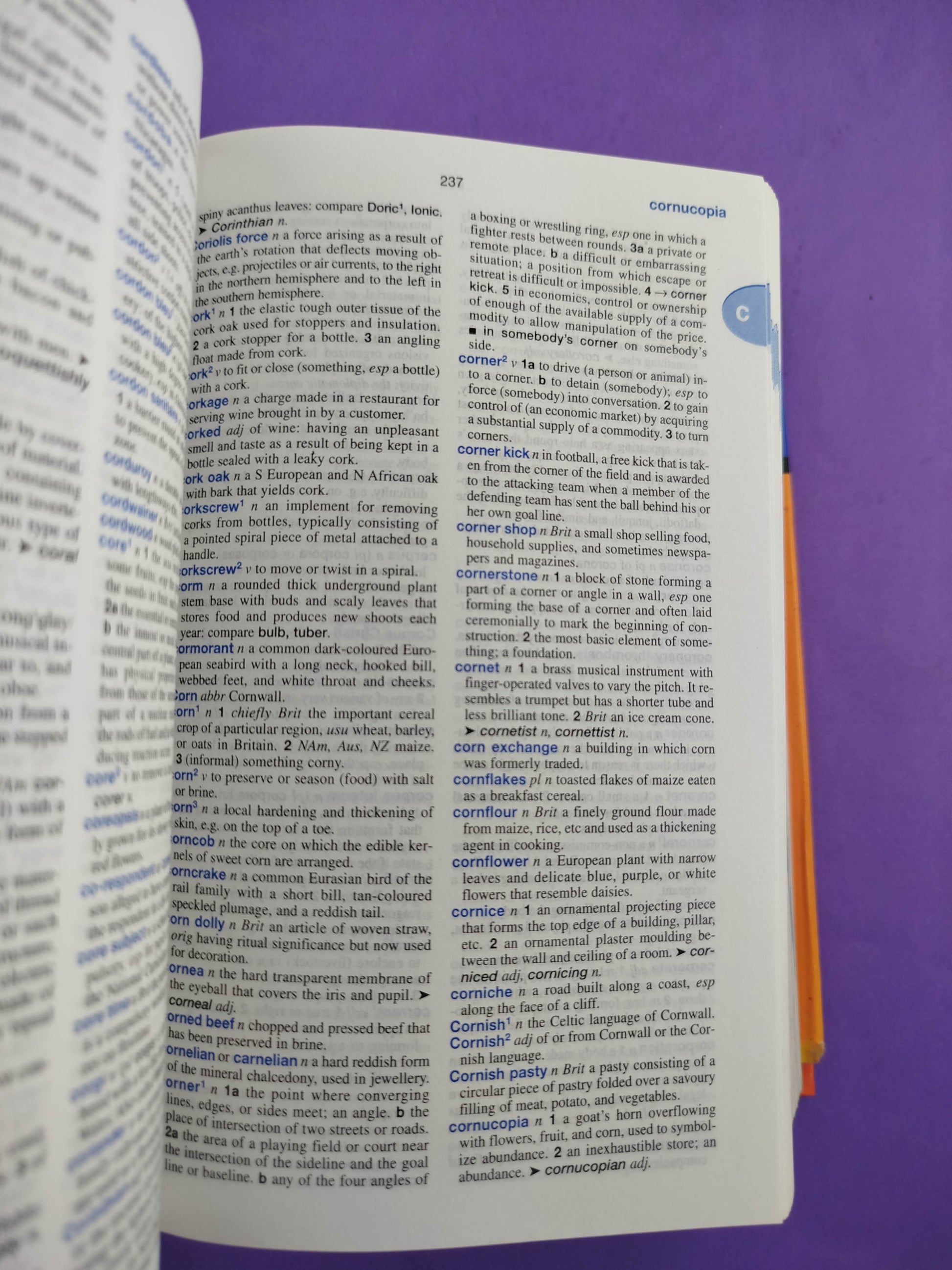 Oceano Compact English Dictionary by Merriam-Webster