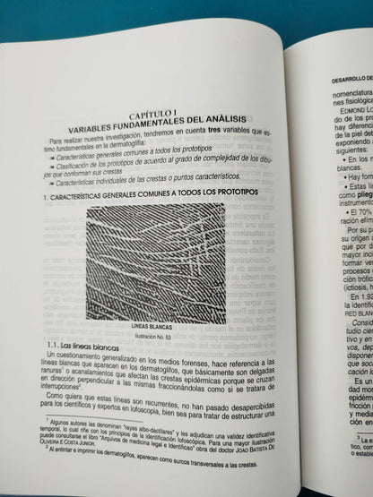 La identificación lofoscópica