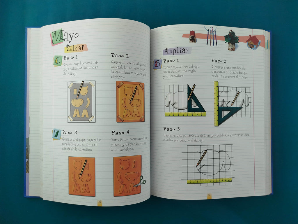 Manualidades Para 365 Días by Alicia Pereiro