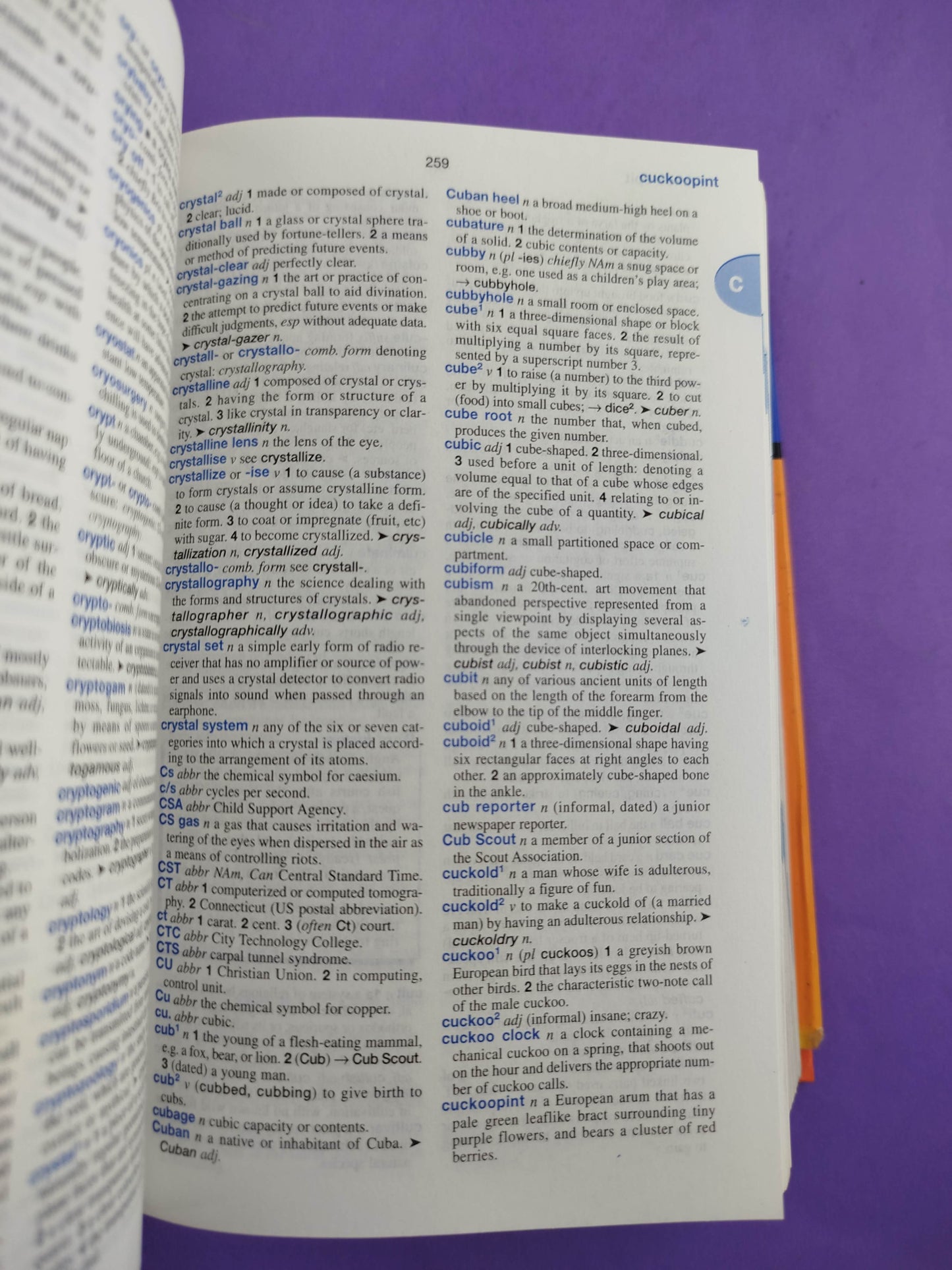 Oceano Compact English Dictionary by Merriam-Webster