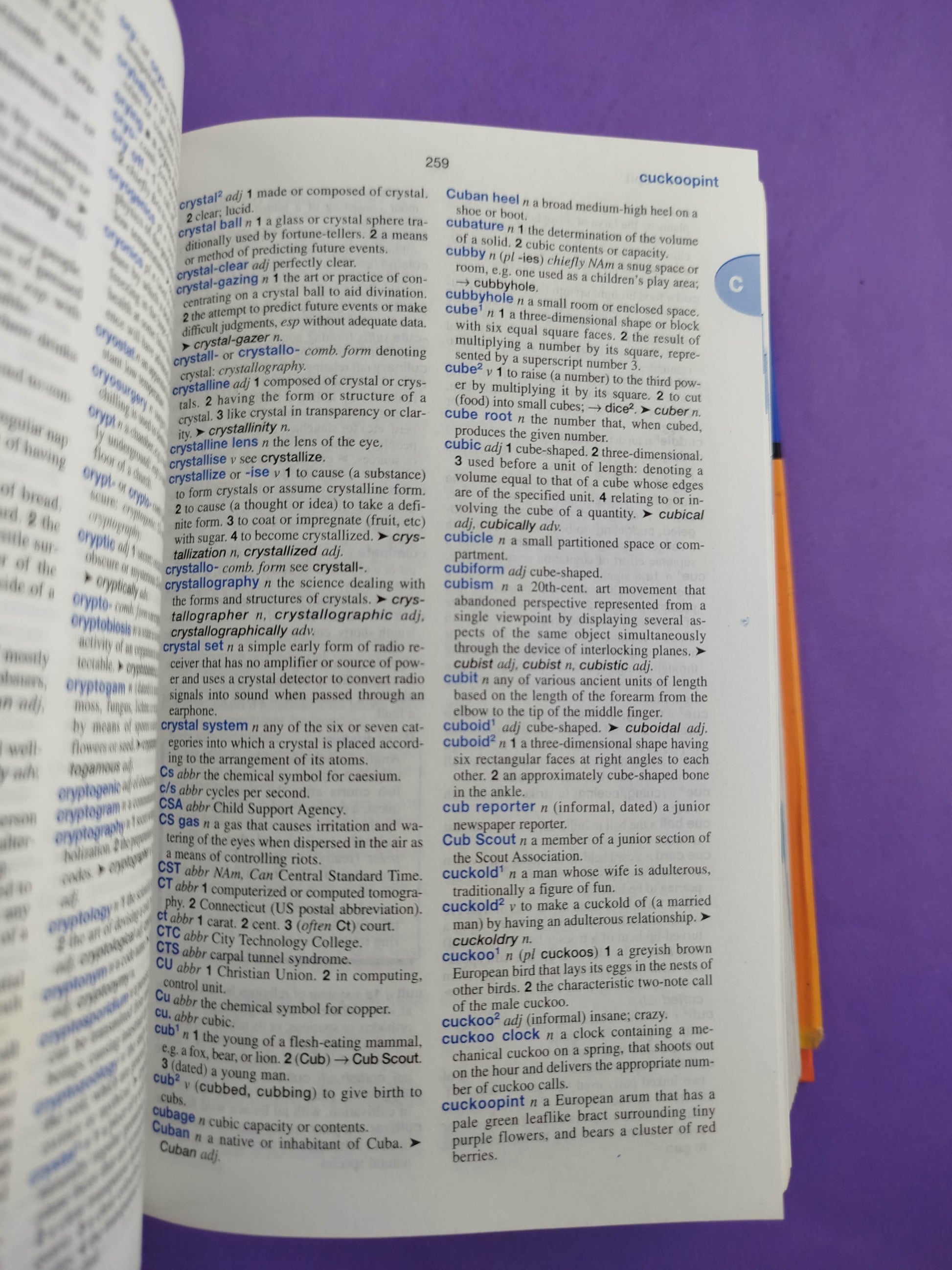 Oceano Compact English Dictionary by Merriam-Webster