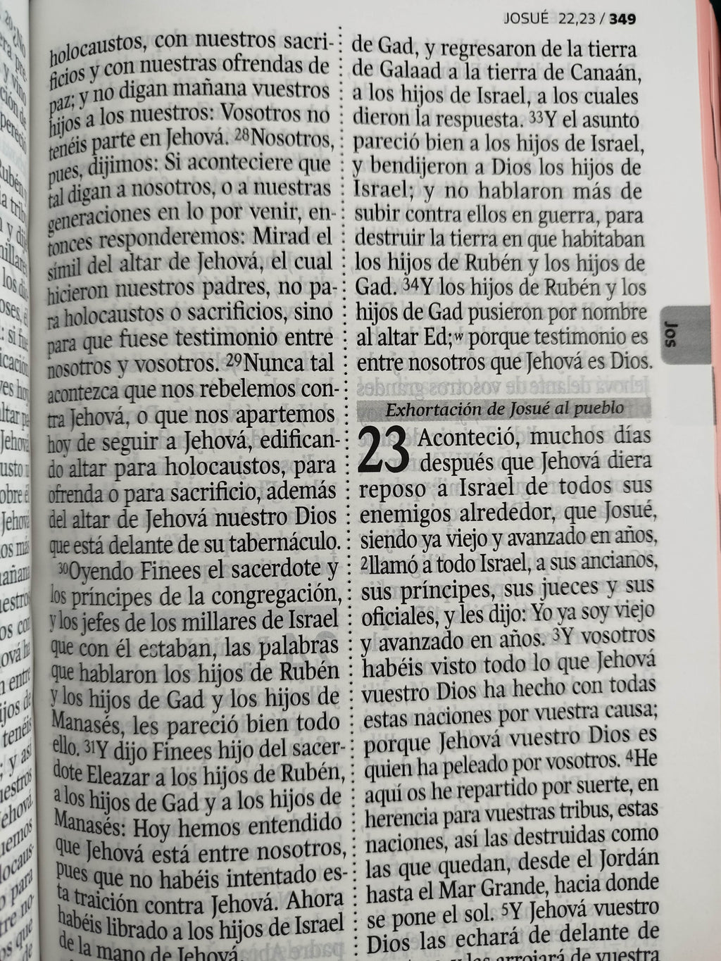 Biblia rvr 1960 letra gigante con forro rosado-verde menta by Reina Valera 1960