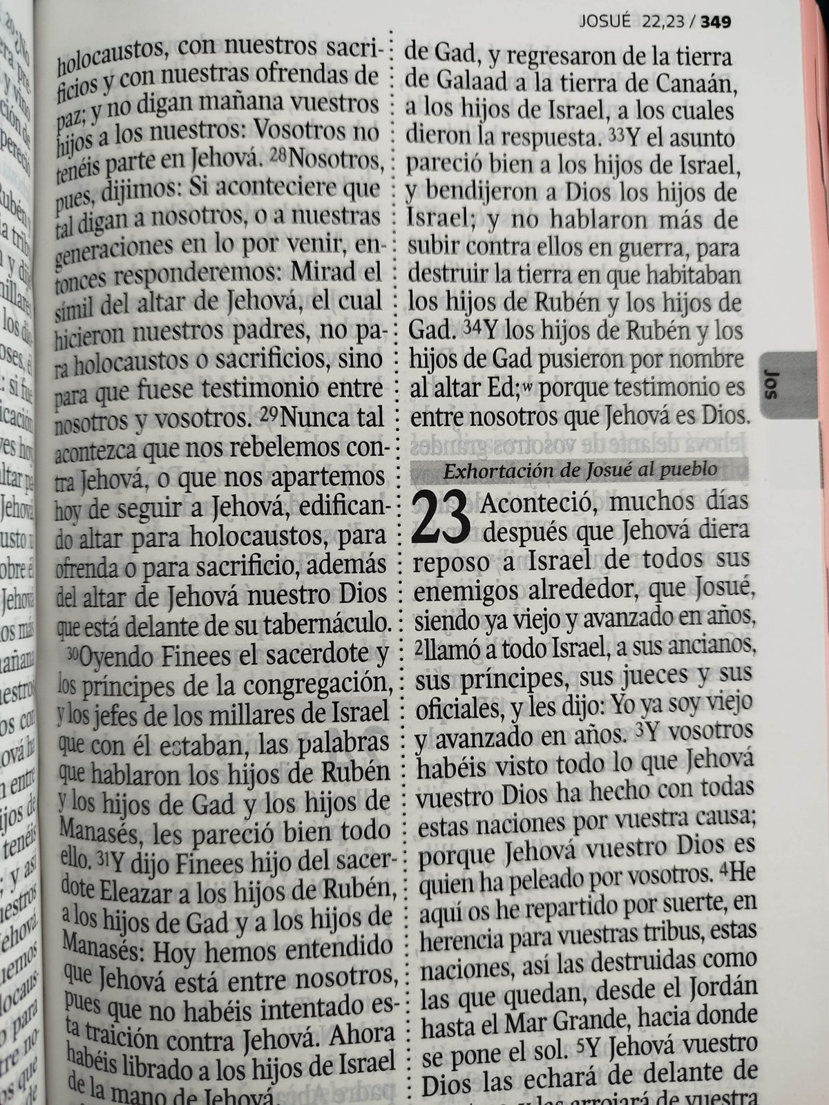 Biblia rvr 1960 letra gigante con forro rosado-verde menta by Reina Valera 1960