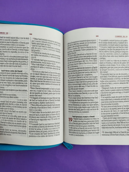 Biblia rvr troquelada fucsia azul canto plateado