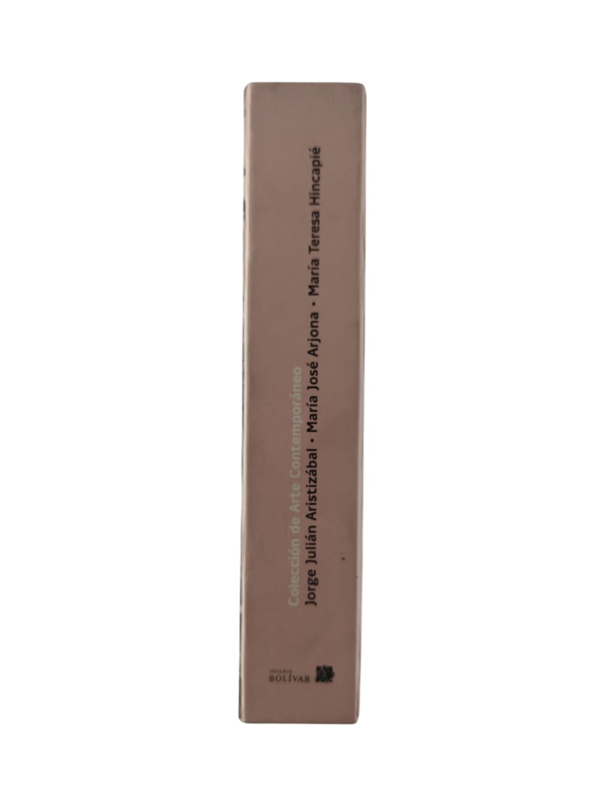 Coleccion De Arte Contemporaneo by Jorge Julián Aristizábal, Maria José Arjona, Maria Teresa Hincapié