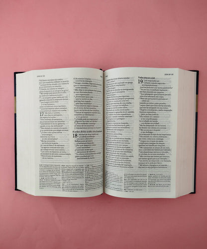 La biblia hispanoamericana