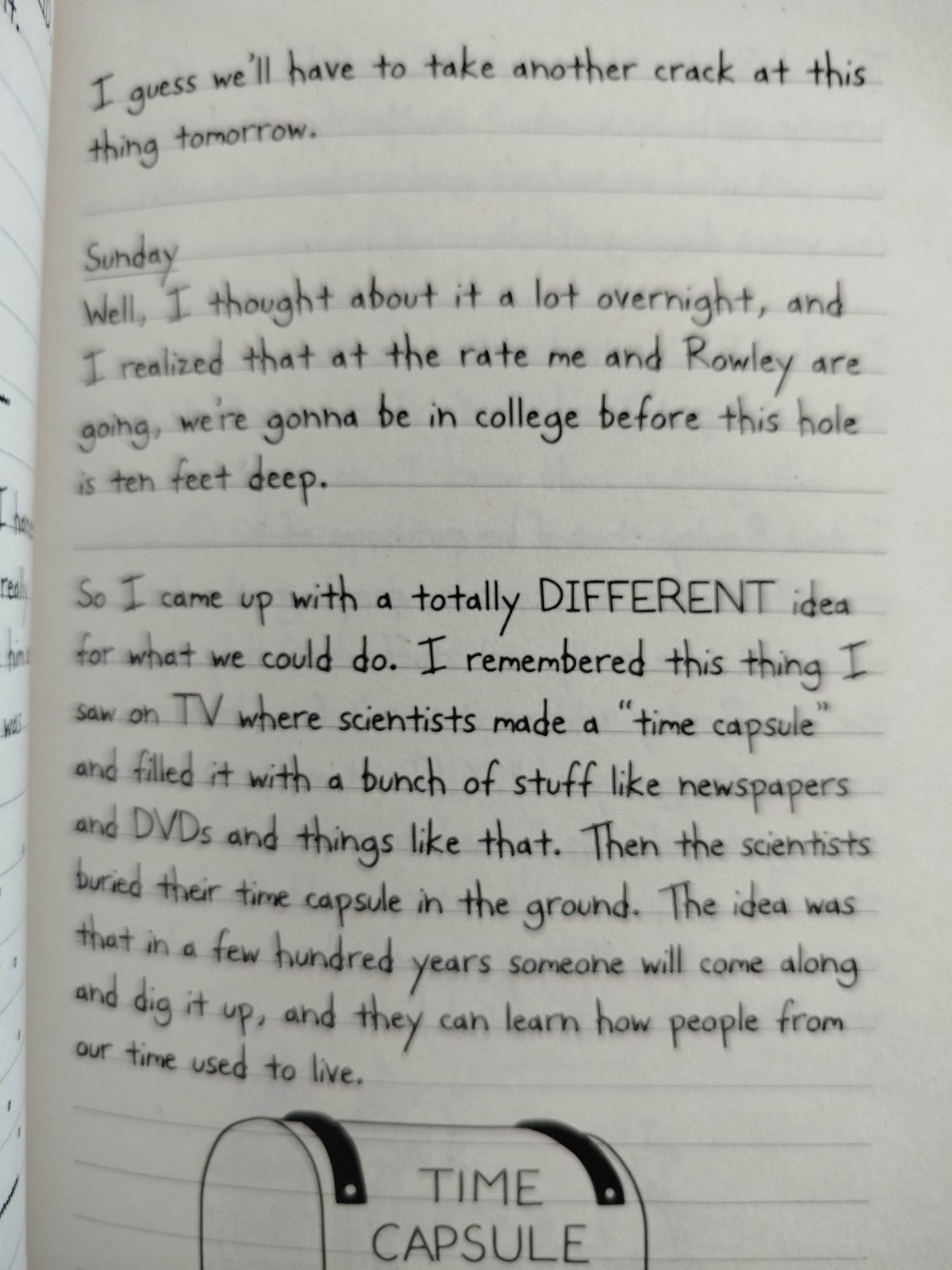 Diary of a wimpy kid the last stran by Jeff Kinney