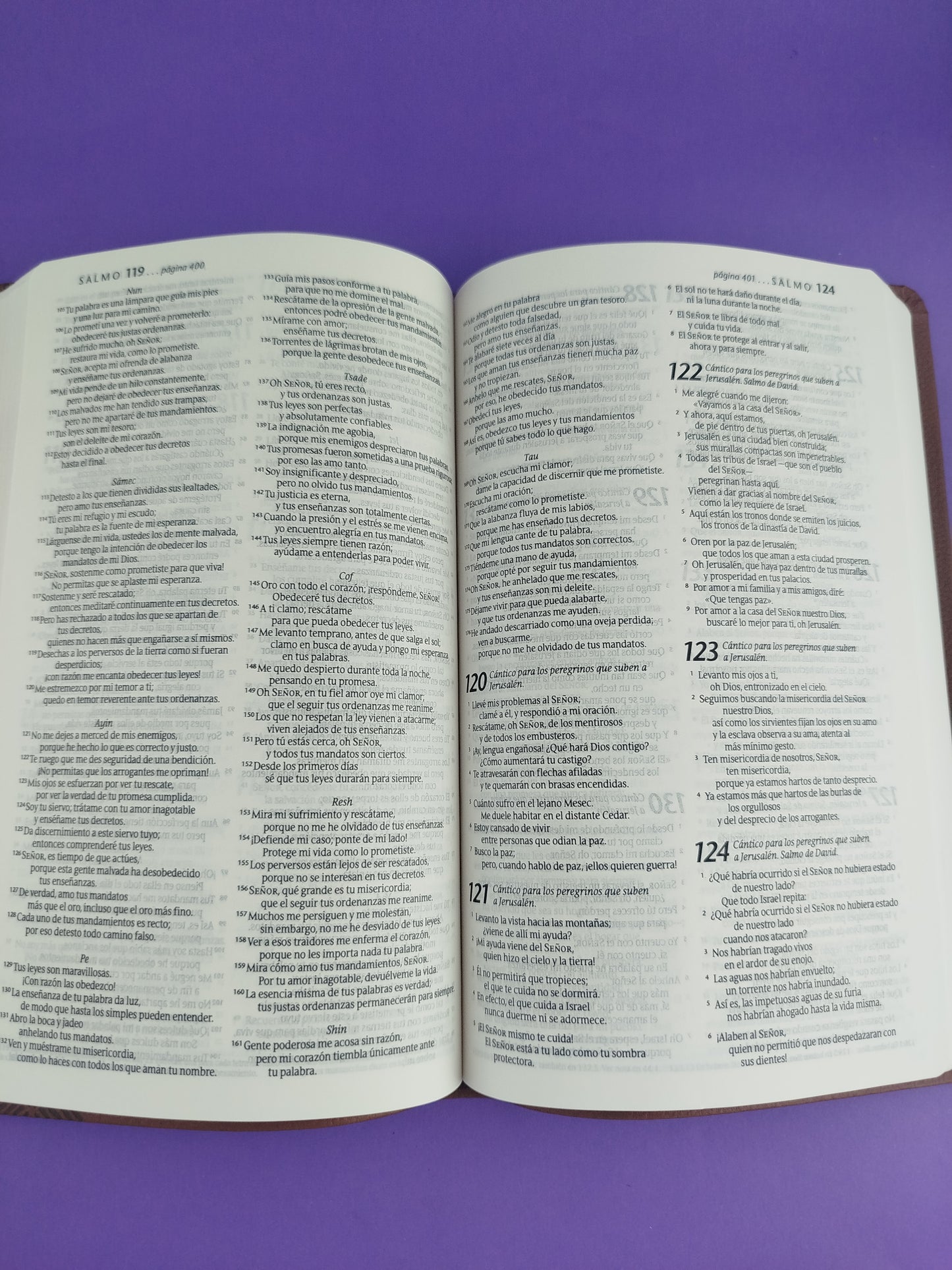 Biblia ntv ágape sentipiel café by Nueva Traducción Viviente