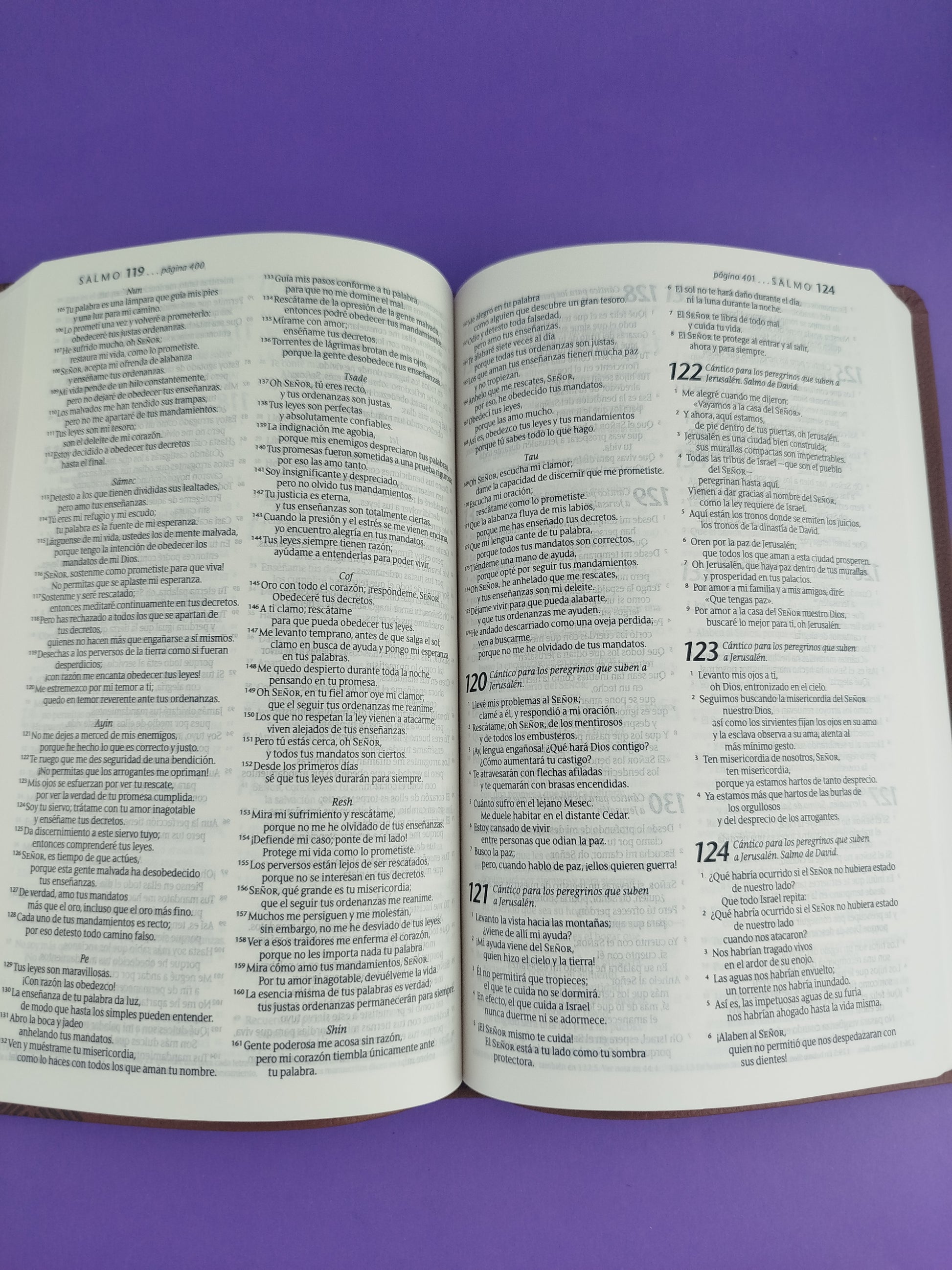 Biblia ntv ágape sentipiel café by Nueva Traducción Viviente