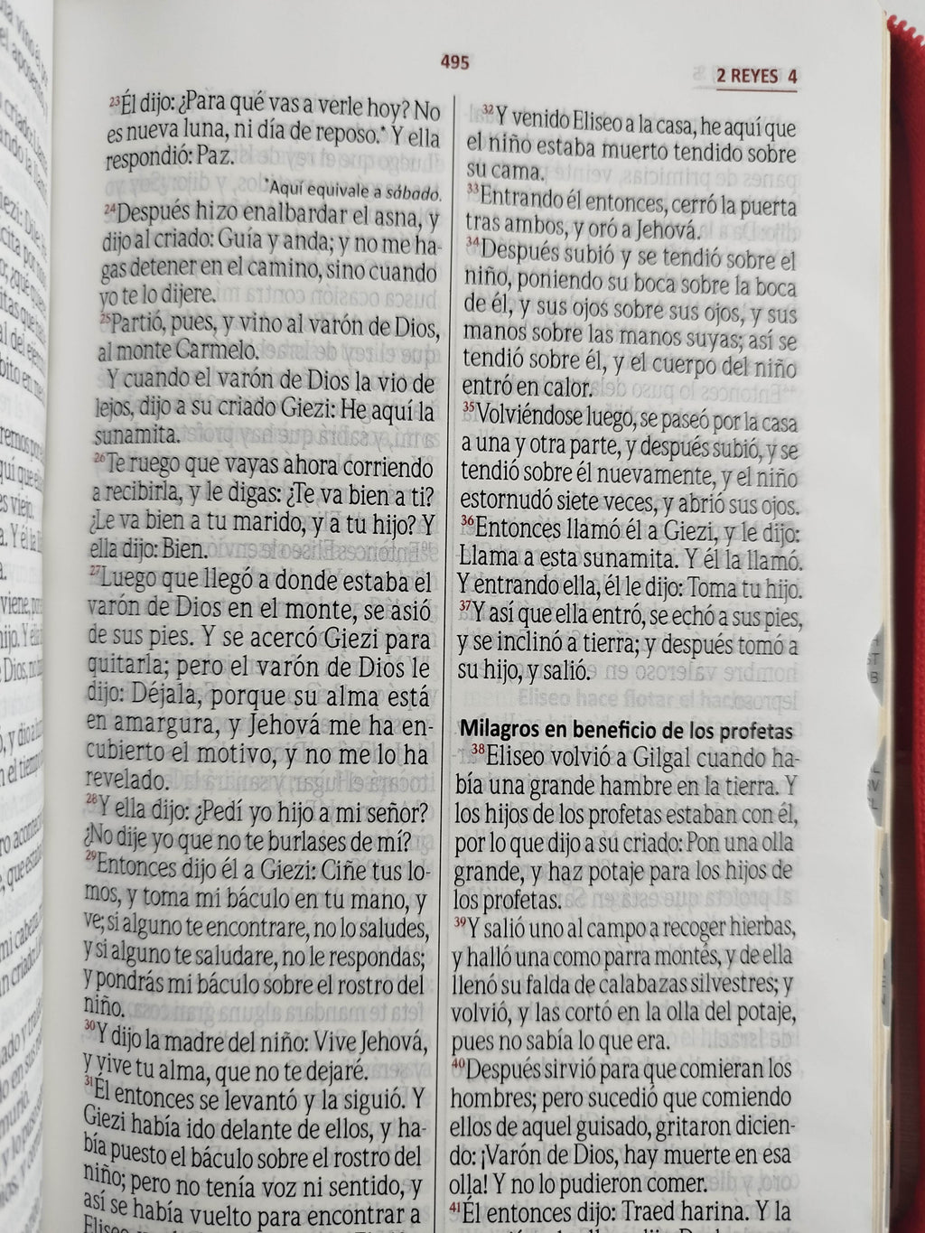 Biblia rvr con índice beige rojo canto dorado by Varios