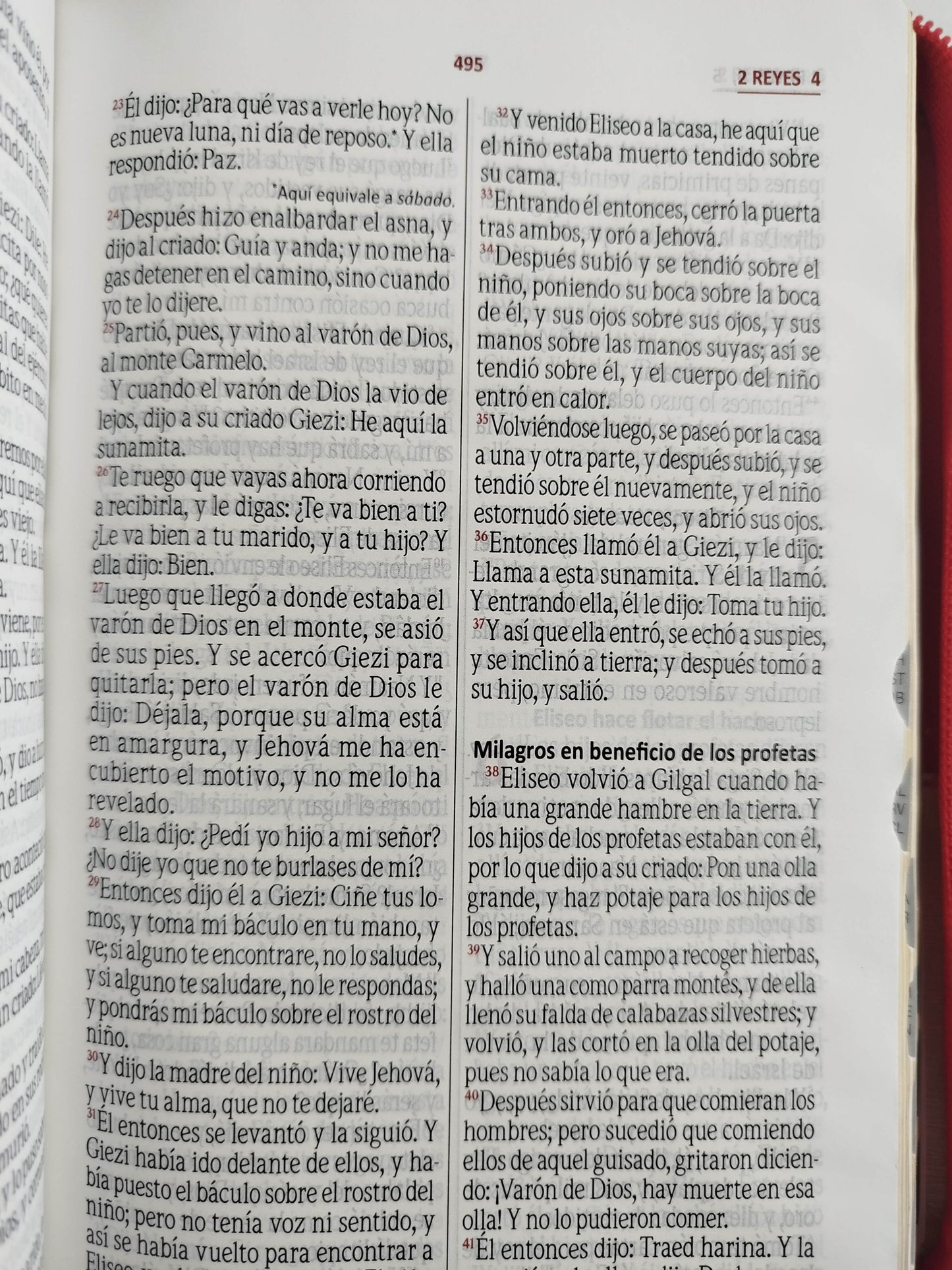 Biblia rvr con índice beige rojo canto dorado by Varios