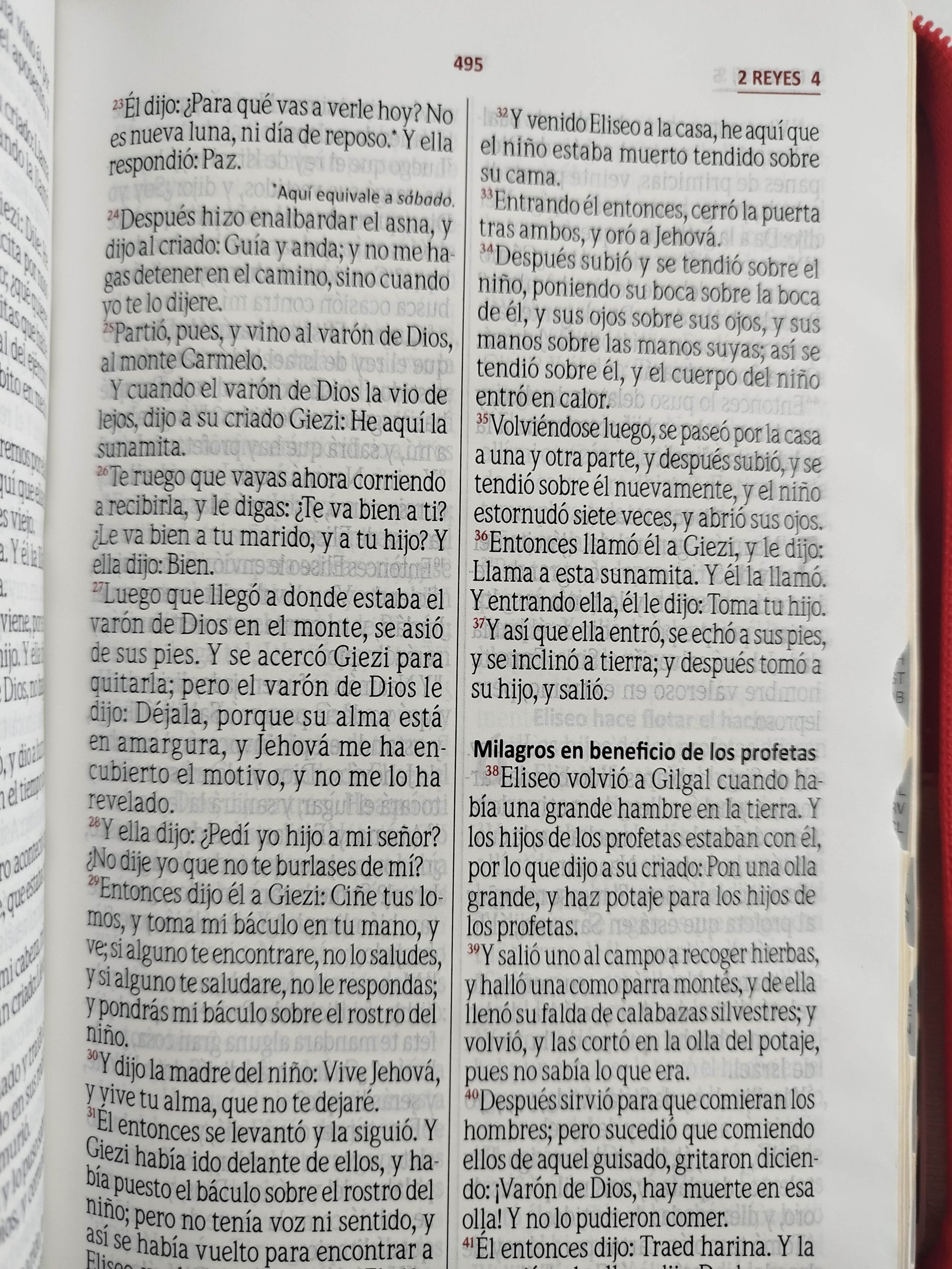 Biblia rvr con índice beige rojo canto dorado by Varios