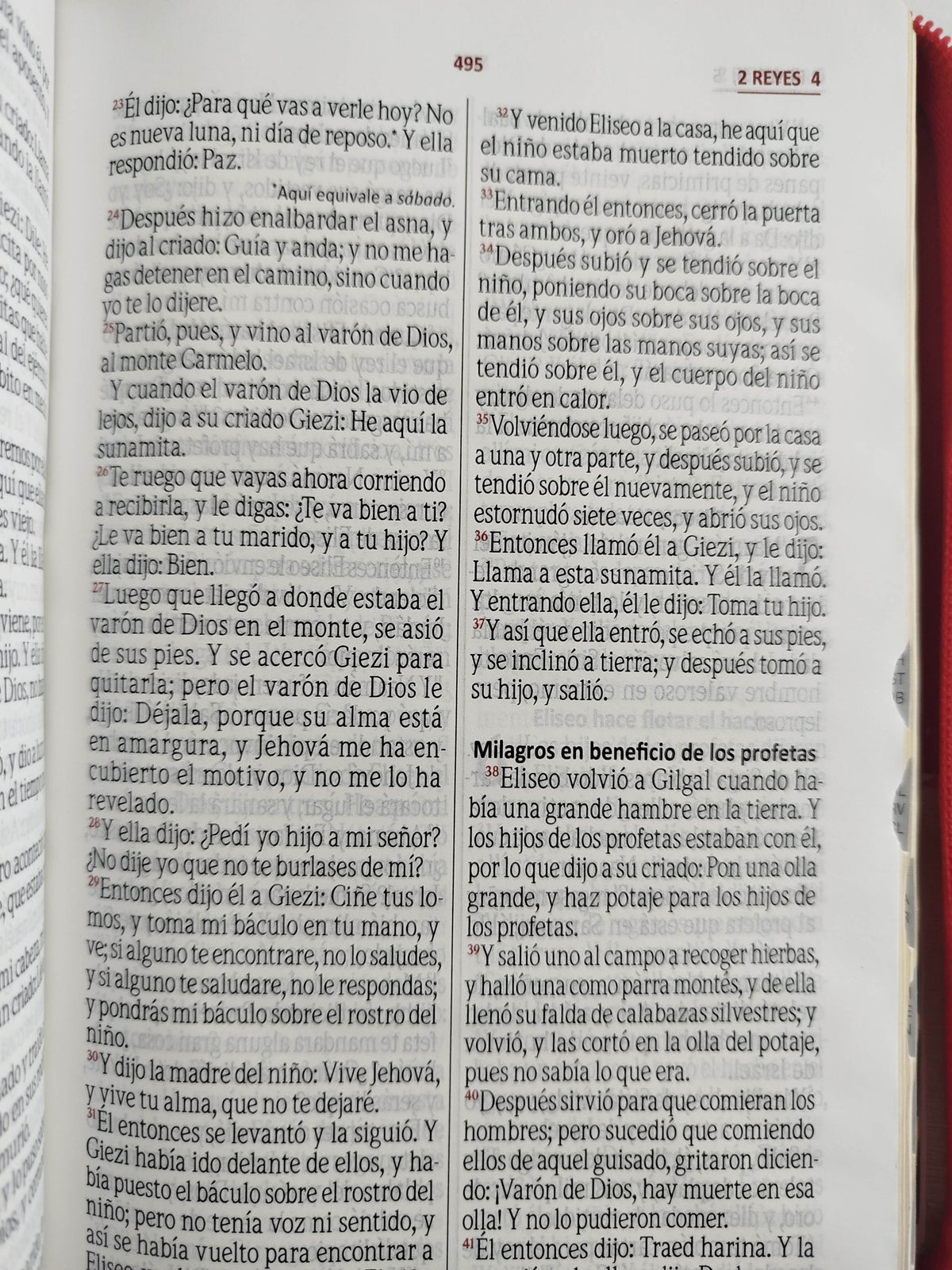 Biblia rvr con índice beige rojo canto dorado by Varios