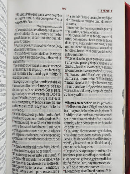 Biblia rvr con índice beige rojo canto dorado by Varios