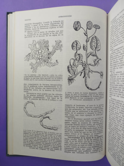 Plantas medicinales El Dioscórides 3 tomos