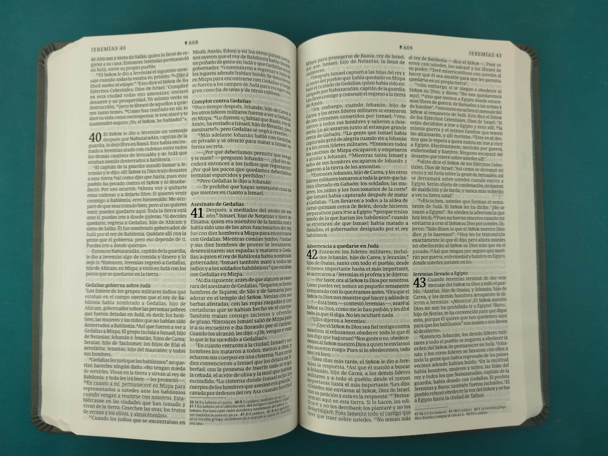 Biblia NTV Filament Gris by Tyndale