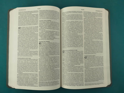 Biblia NTV Filament Gris
