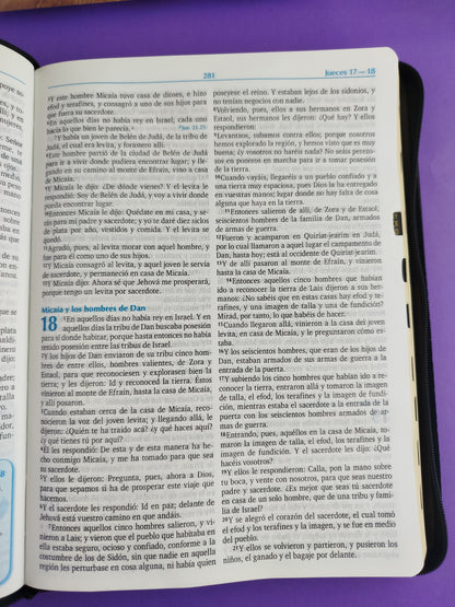 Biblia para la predicación negra con cierre e índice by Reina Valera 1960