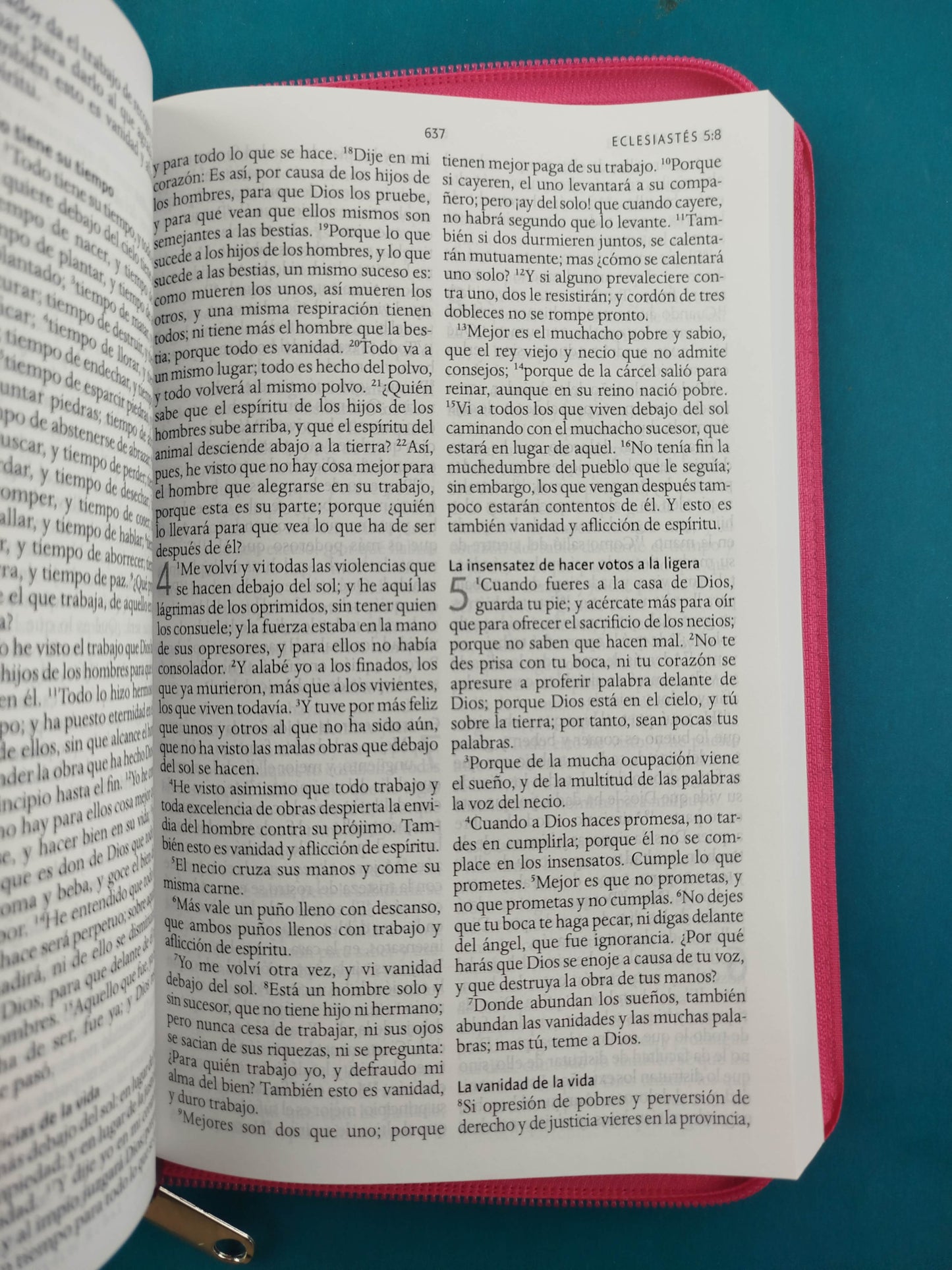 Biblia RVR 1960 Letra Grande con Estuche Fucsia flores