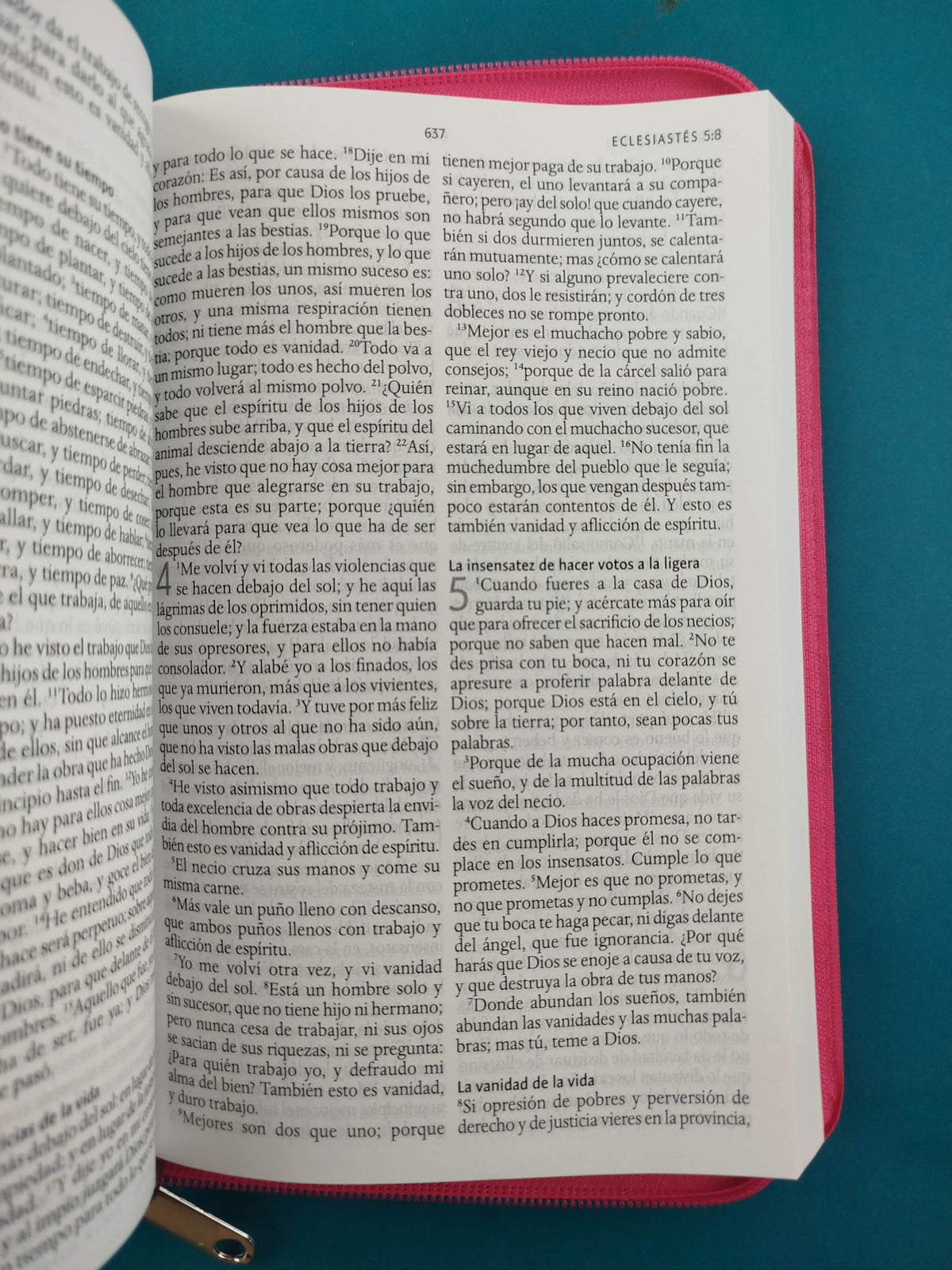 Biblia RVR 1960 Letra Grande con Estuche Fucsia flores by Reina Valera 1960