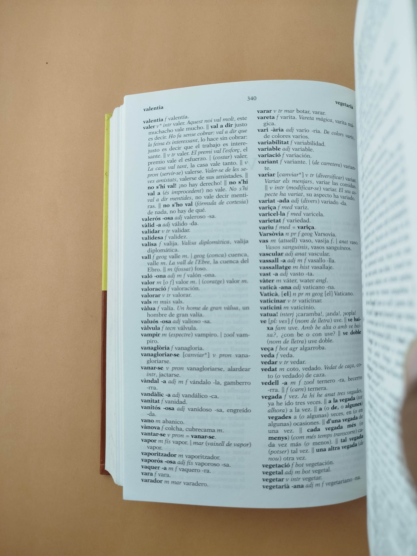 Diccionari Català-Castellà