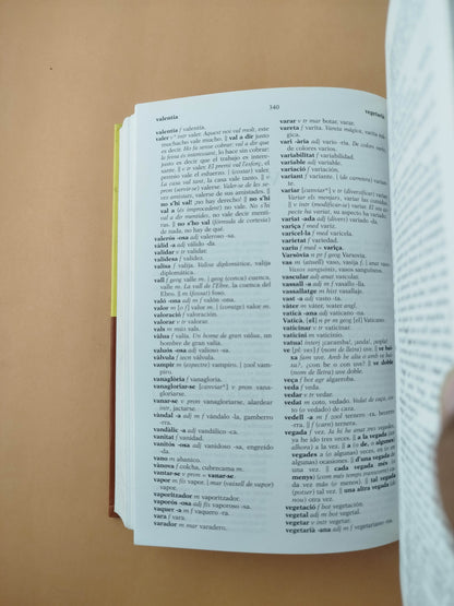 Diccionari Català-Castellà