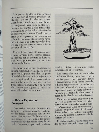 Hagamos Bonsai by Beatriz Botero- Martha Olga Botero